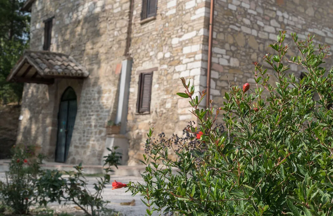 B&B Cantico Delle Creature-1